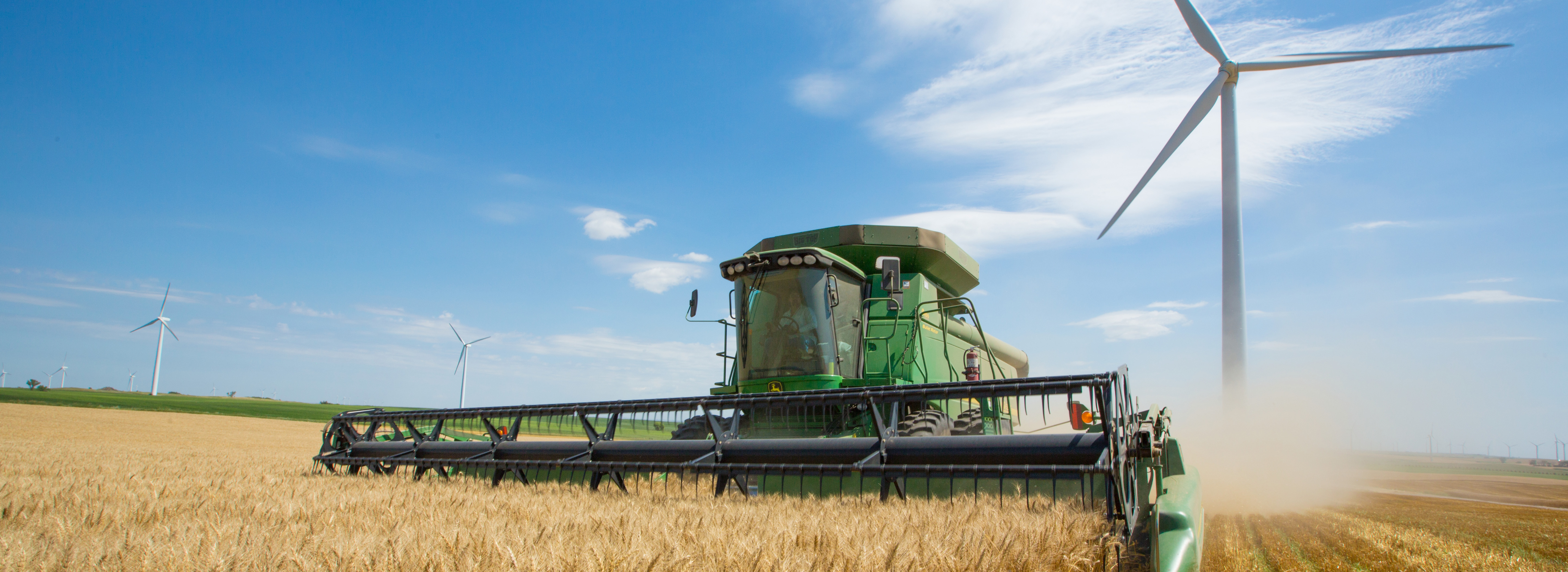 Combine wheat harvesting in front of wind turbine