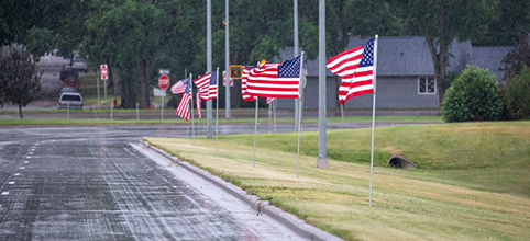 American flags on street