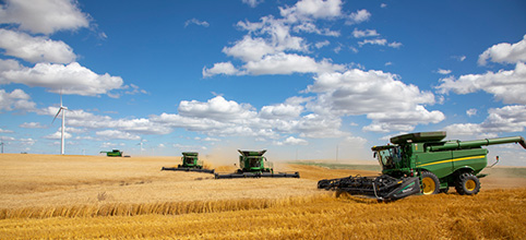 Tractors harvesting field