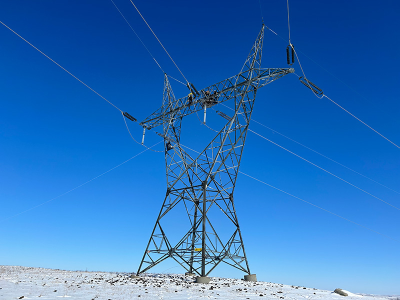 Eagle nest on transmission structure